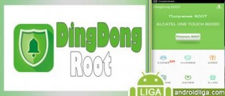 DingDong Root    -